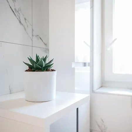 Apartment #5 *